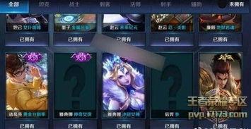 皮肤优化最新爆料王者,揭秘皮肤优化背后的神秘力量