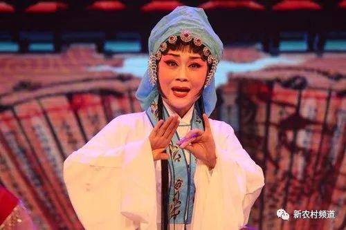 河南豫剧明星,揭秘河南豫剧明星的璀璨风采
