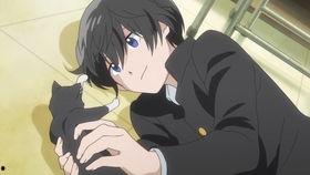 星合之空在线观看免费