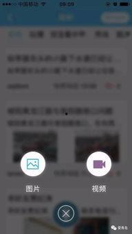 爆料视频置顶,爆料视频置顶背后的惊人真相