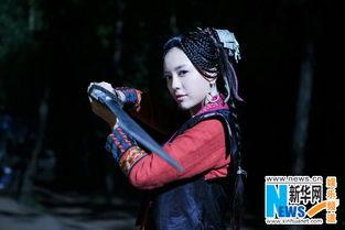 蓝凤凰明星,璀璨星途，闪耀娱乐圈