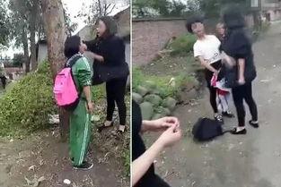 2017校园暴力视频,揭开校园安全隐忧