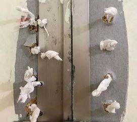 AV偷拍自怕,隐私边界与道德拷问