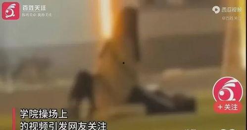 职业学院爆料事件视频